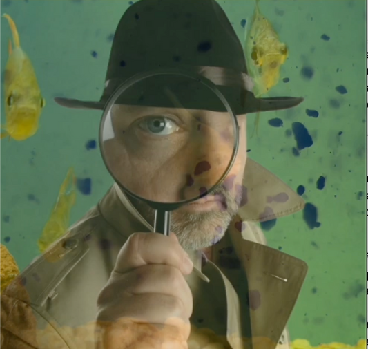 Person with detective outfit and magnifying glass looking for solutions to algae problem in their tank with fish in background. 