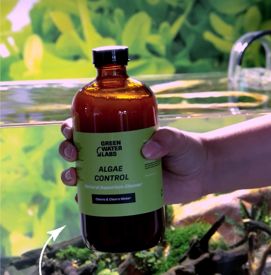 Using Algae Control with your Unique Set-Up