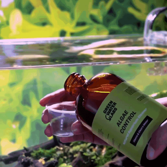 Green Water Labs Algae Control Solution, application for algae free aquarium